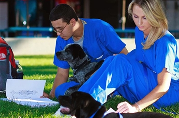 Bel-Rea Institute of Animal Technology – Veterinary Technician Training