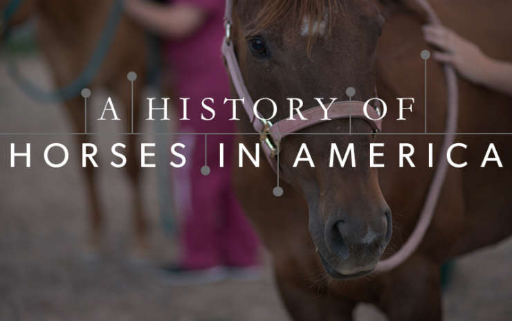 A History of Horses In America