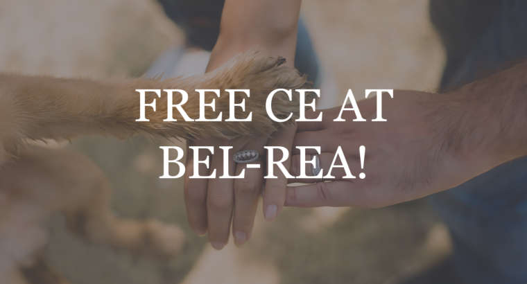 Free CE at Bel-Rea!