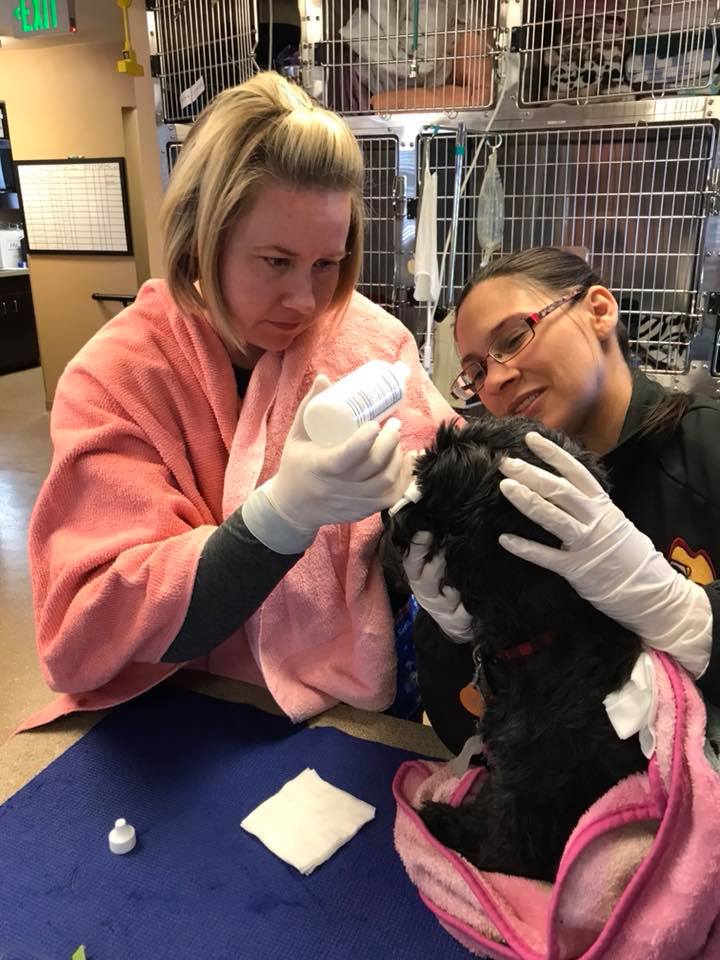 Redstone Animal Hospital/ My Pet’s Place BelRea Institute of Animal