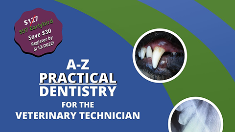 A-Z Practical Dentistry for the Veterinary Technician
