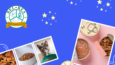 Vet Tech Consults: Helping Clients with Diet Choices
