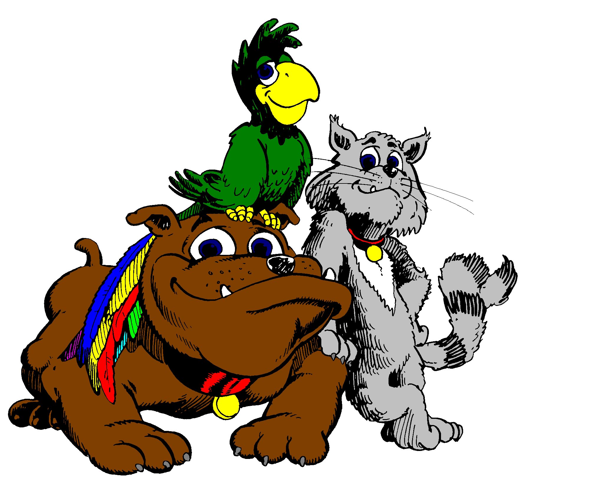 vetcare animal hospital