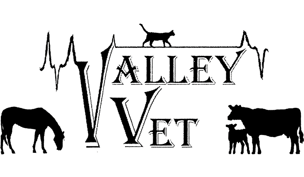 Valley Veterinary Clinic of Glasgow BelRea Institute of Animal