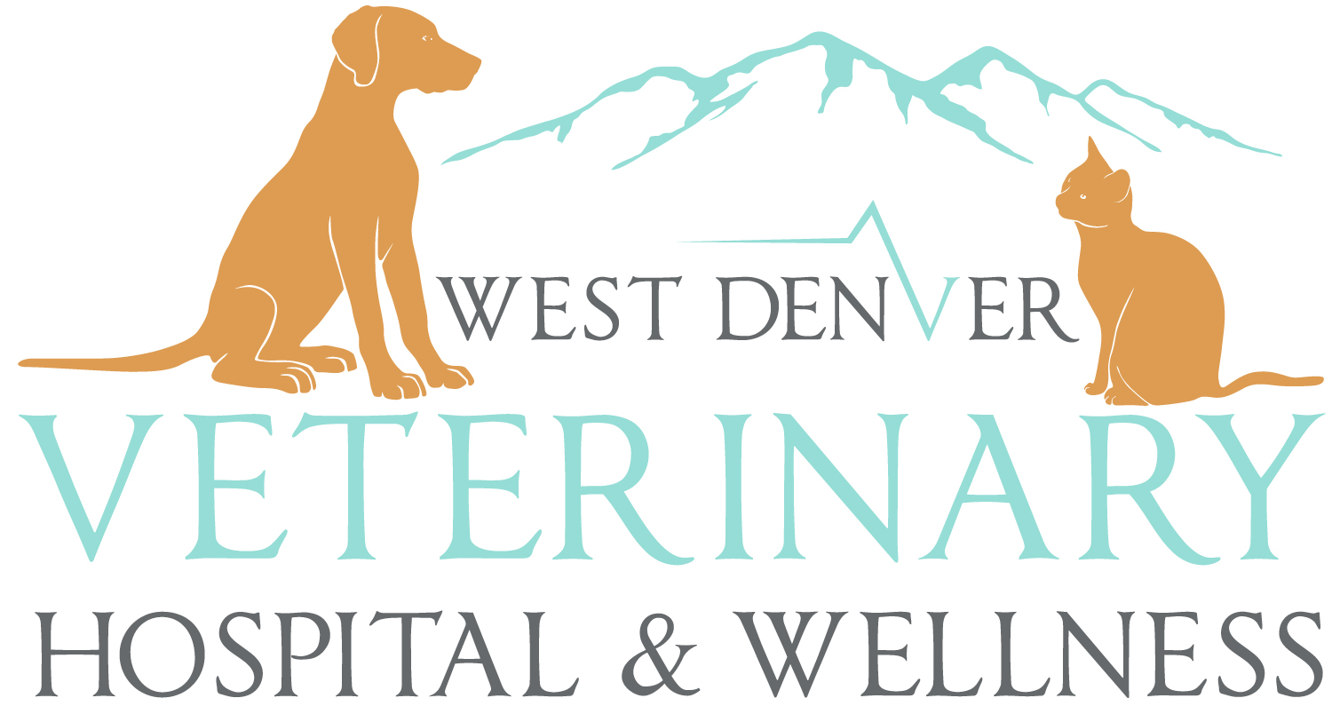 West Denver Veterinary Hospital & Wellness BelRea Institute of